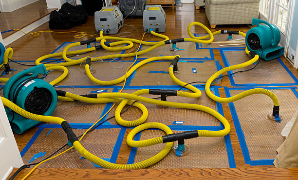 Professional Water Damage Repair technician working in Malaga, NJ